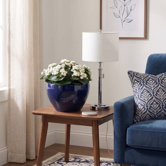 House of Silk Flowers 15" Faux White Kalanchoe in Navy Blue Ceramic Cachepot Arrangement